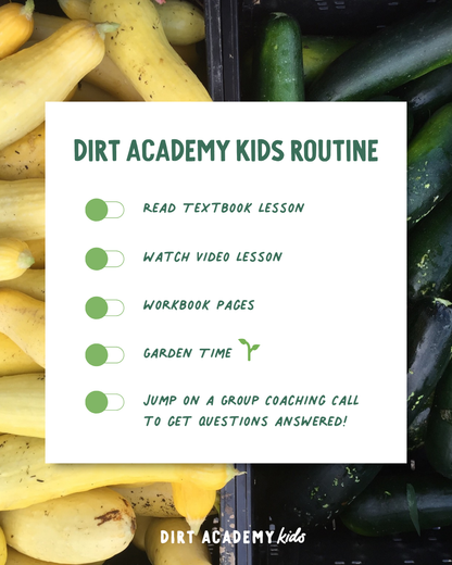 In The Garden - Full Curriculum Bundle