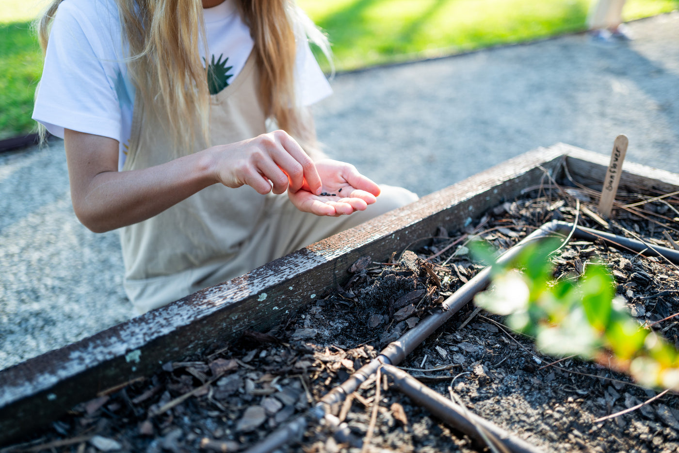 Seeds & Garden Supplies