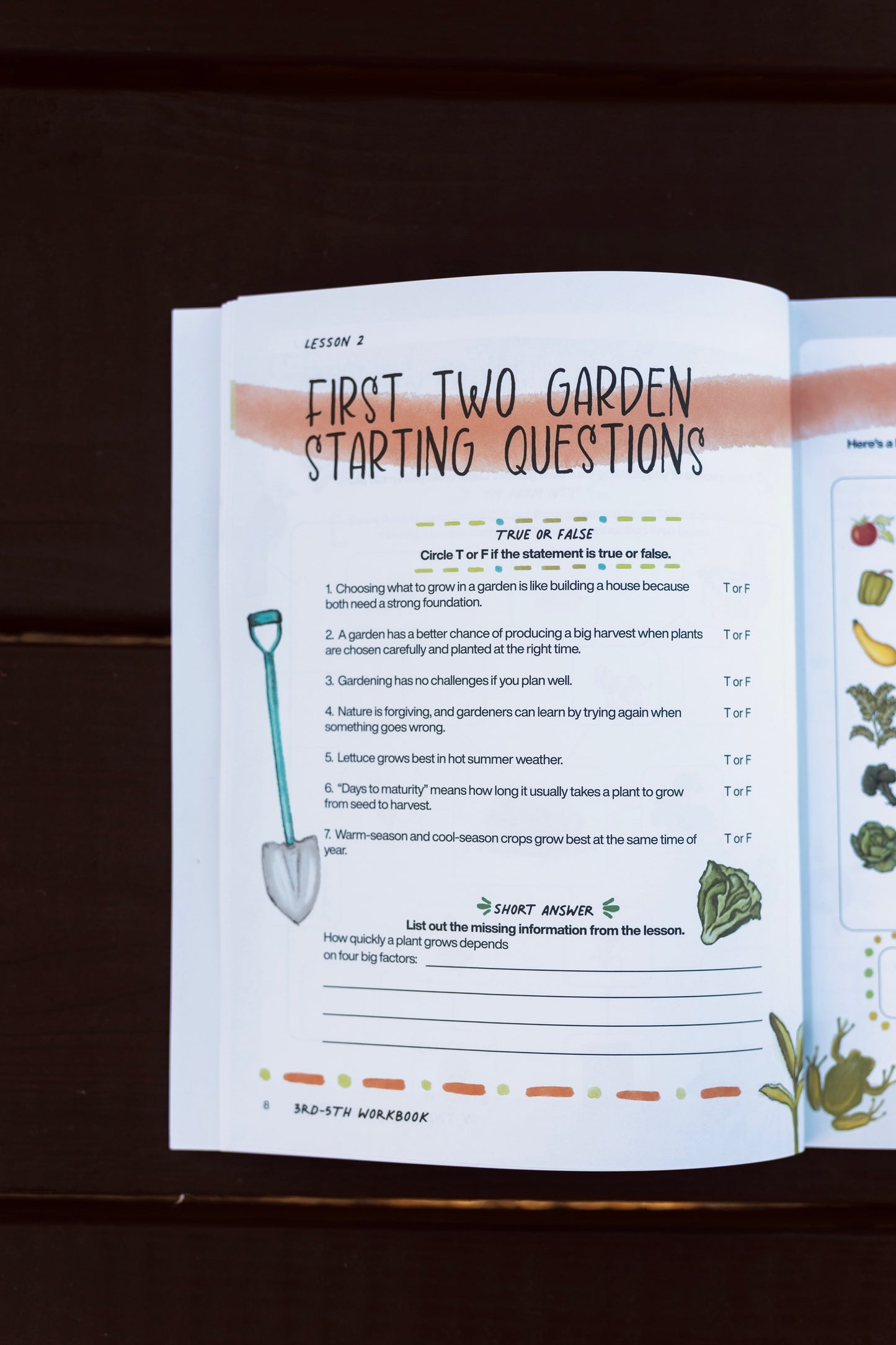 In The Garden - Full Curriculum Bundle