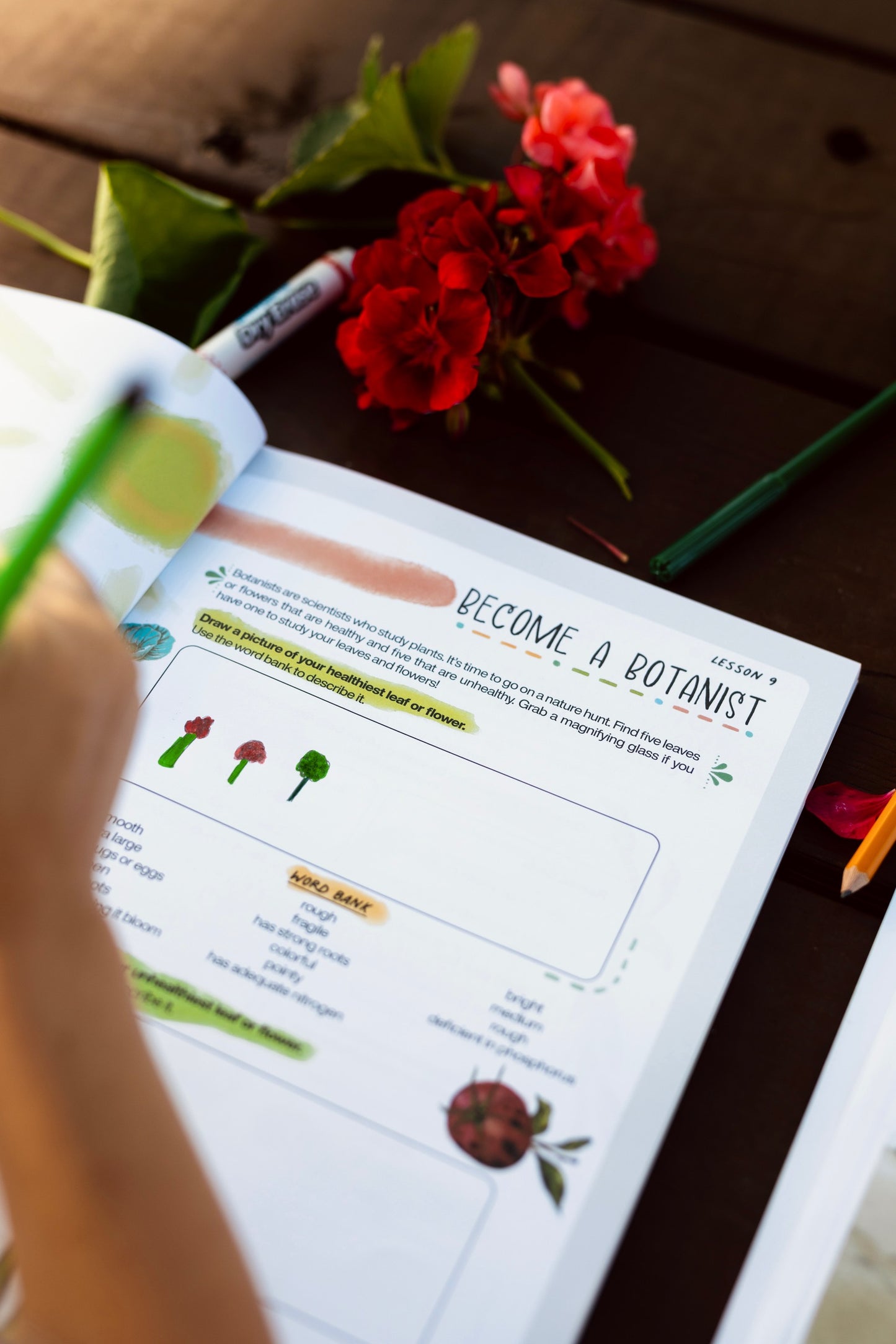 In The Garden - Full Curriculum Bundle