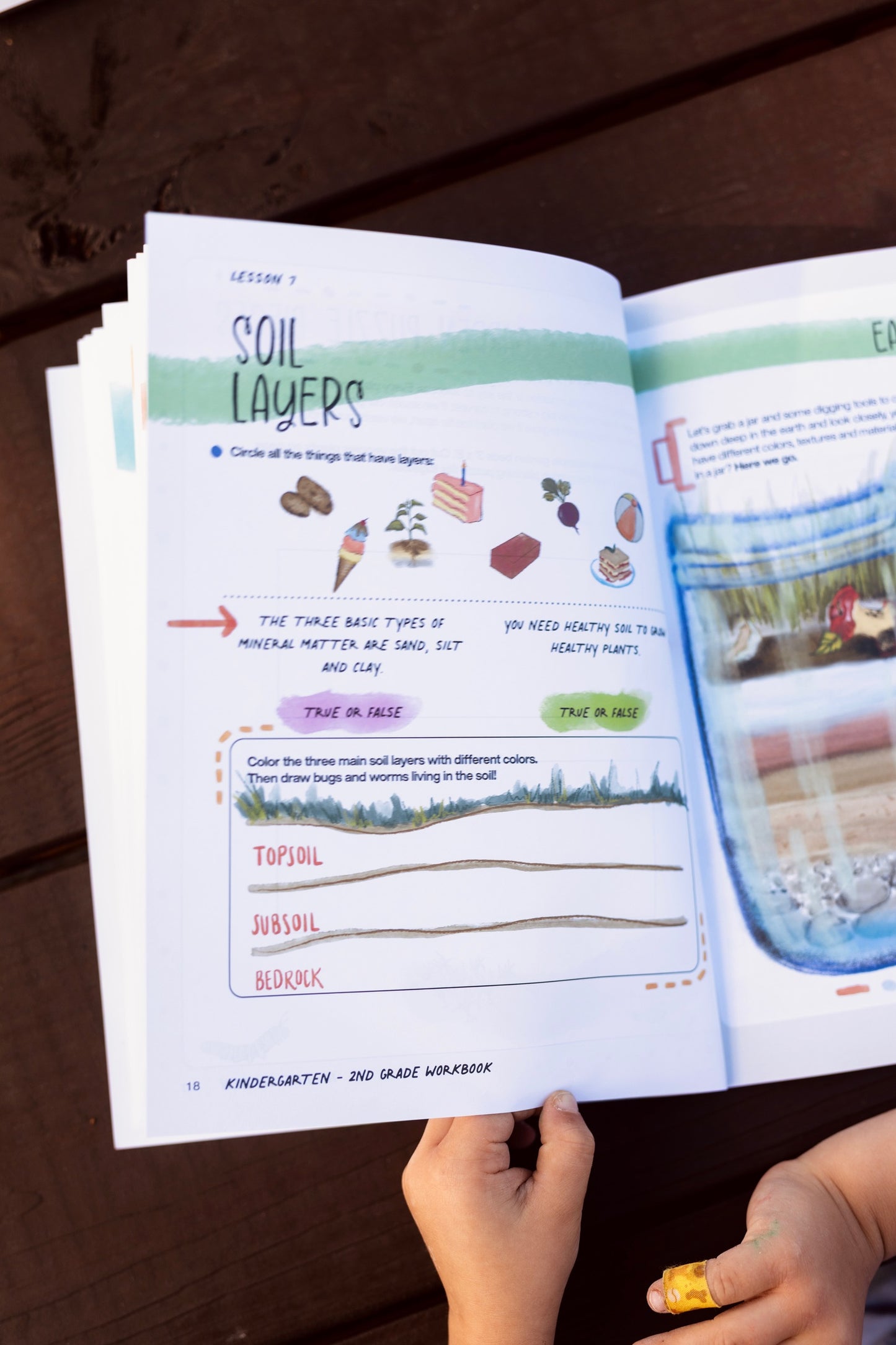 In The Garden - Full Curriculum Bundle