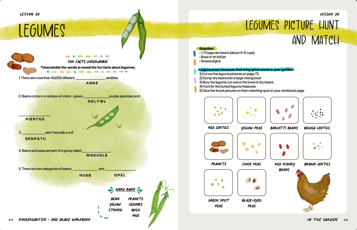 Schools & Groups "In the Garden" Curriculum -  Digital WorkBook Set